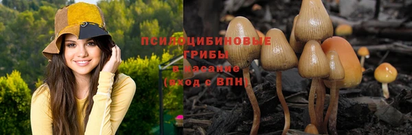 Альфа ПВП Абаза