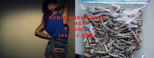 Альфа ПВП Абаза