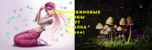 МДПВ Абдулино