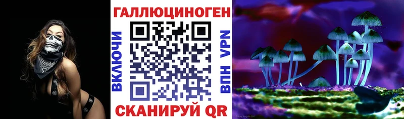 купить  сайты  Тихорецк  Галлюциногенные грибы прущие грибы 