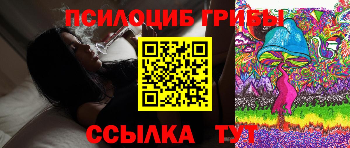 Тихорецк  Галлюциногенные грибы GOLDEN TEACHER  Вход с VPN 