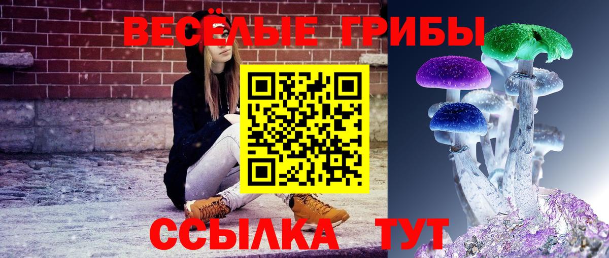 Псилоцибиновые грибы ЛСД Тихорецк